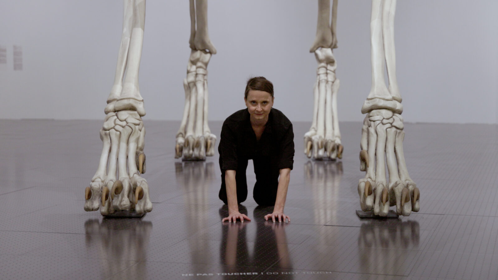 Une Visite dansée pour le Centre Pompidou-Metz (2025)